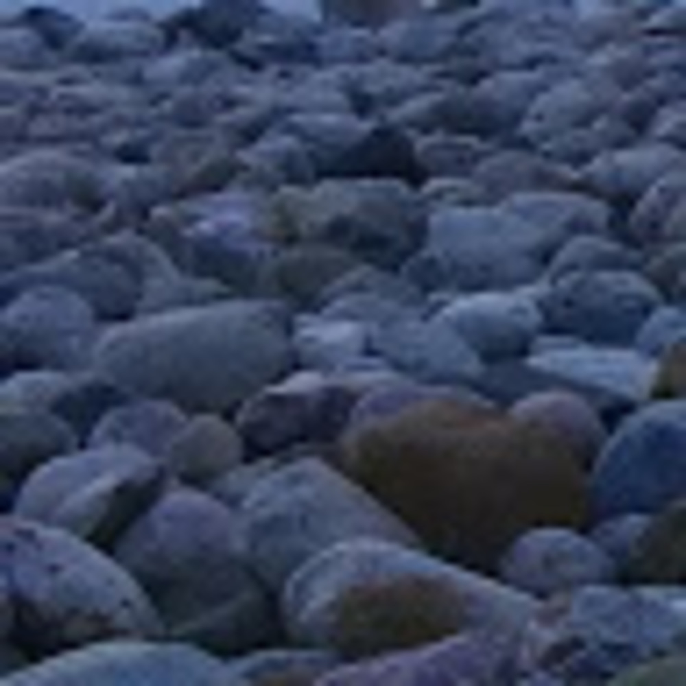 Meet your Posher, Ell